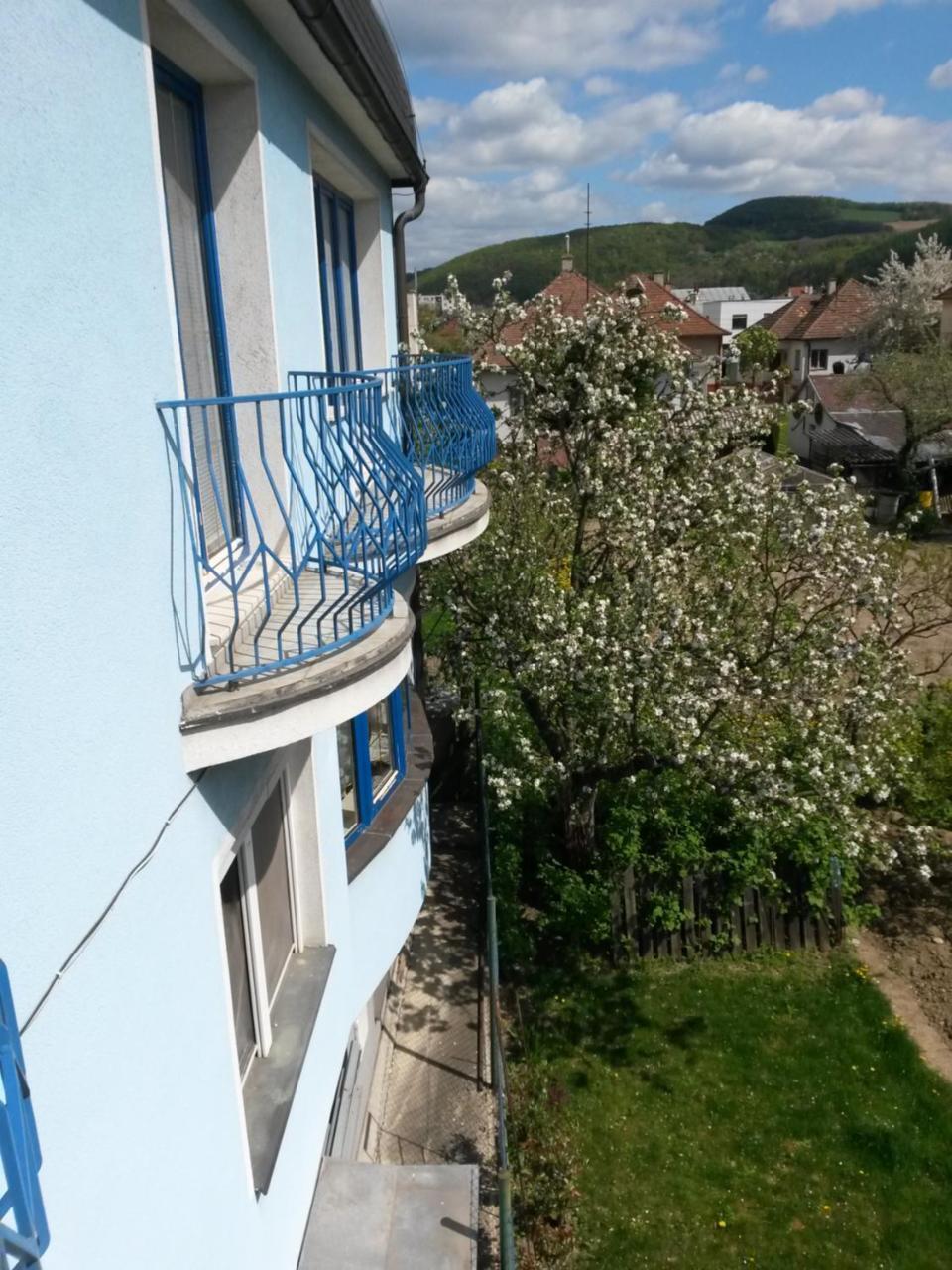 Pension Magnolia Тренчин Экстерьер фото